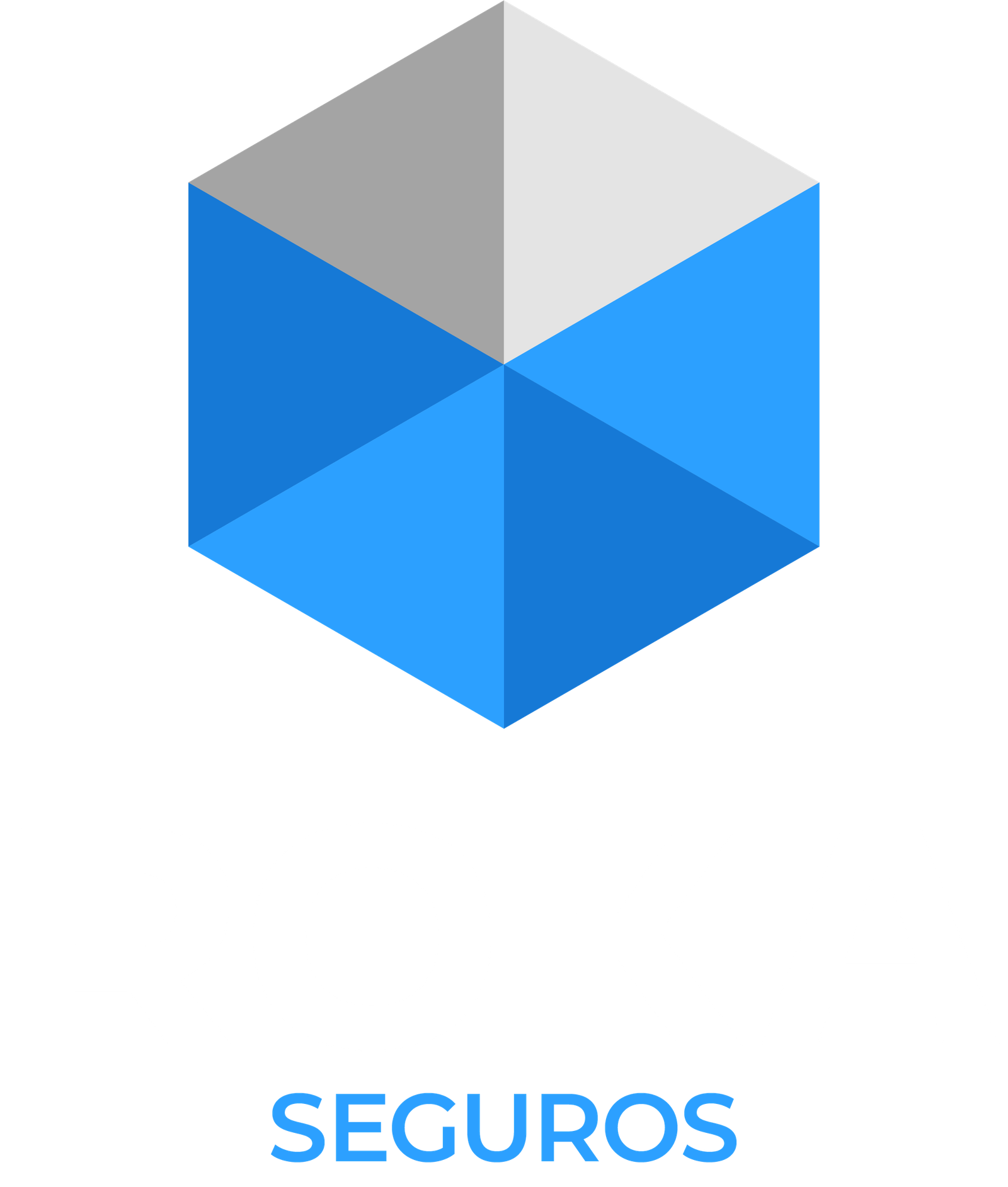 Roka Seguros Logo